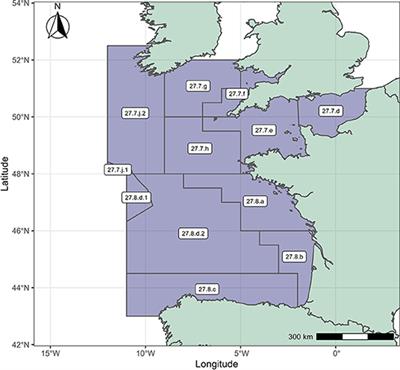 Estimating Bycatch From Non-representative Samples (II): A Case Study of Pair Trawlers and Common Dolphins in the Bay of Biscay